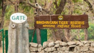 badhavgarh tiger reserve
