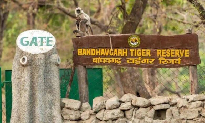 badhavgarh tiger reserve