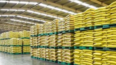 fertilizer