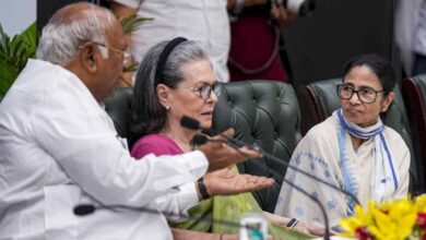 mamata didi