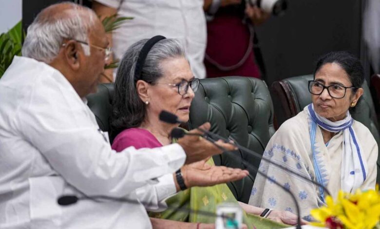 mamata didi