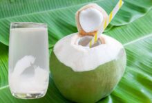nariyal pani
