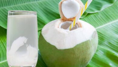 nariyal pani
