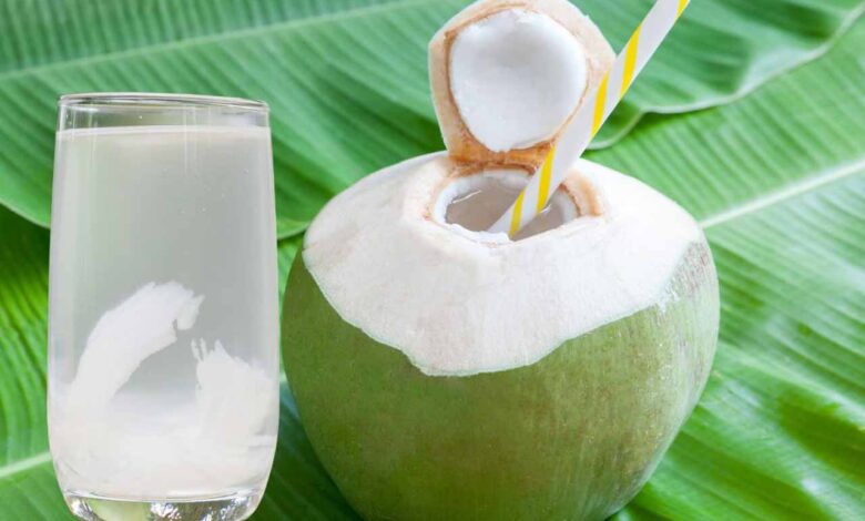 nariyal pani