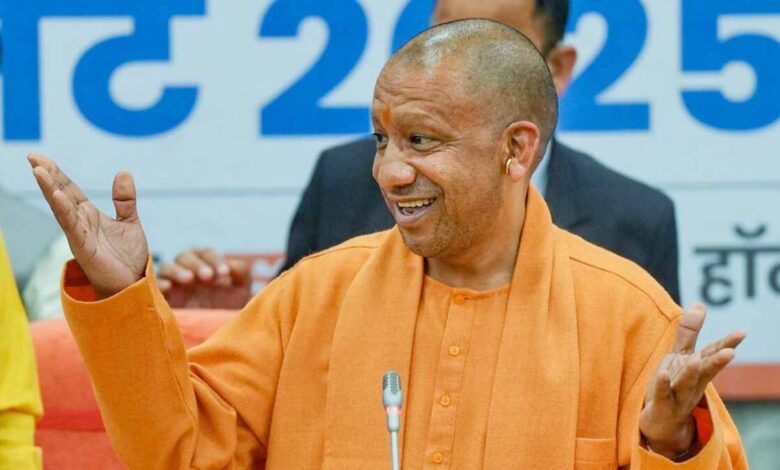 yogi 5