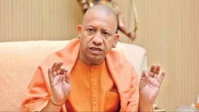 yogi new