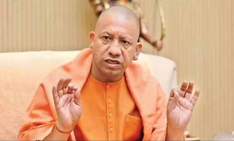 yogi new