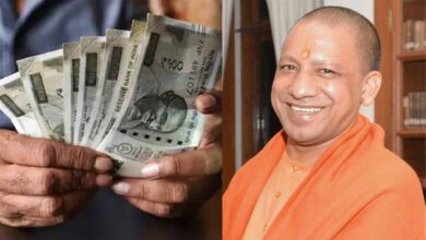 yogi news