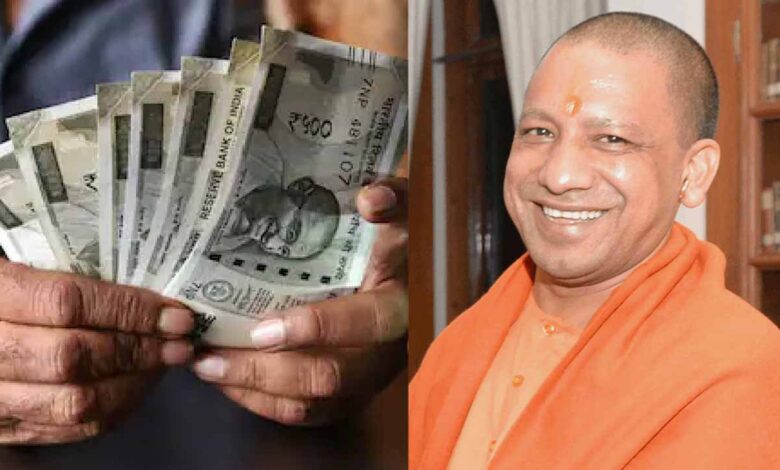 yogi news